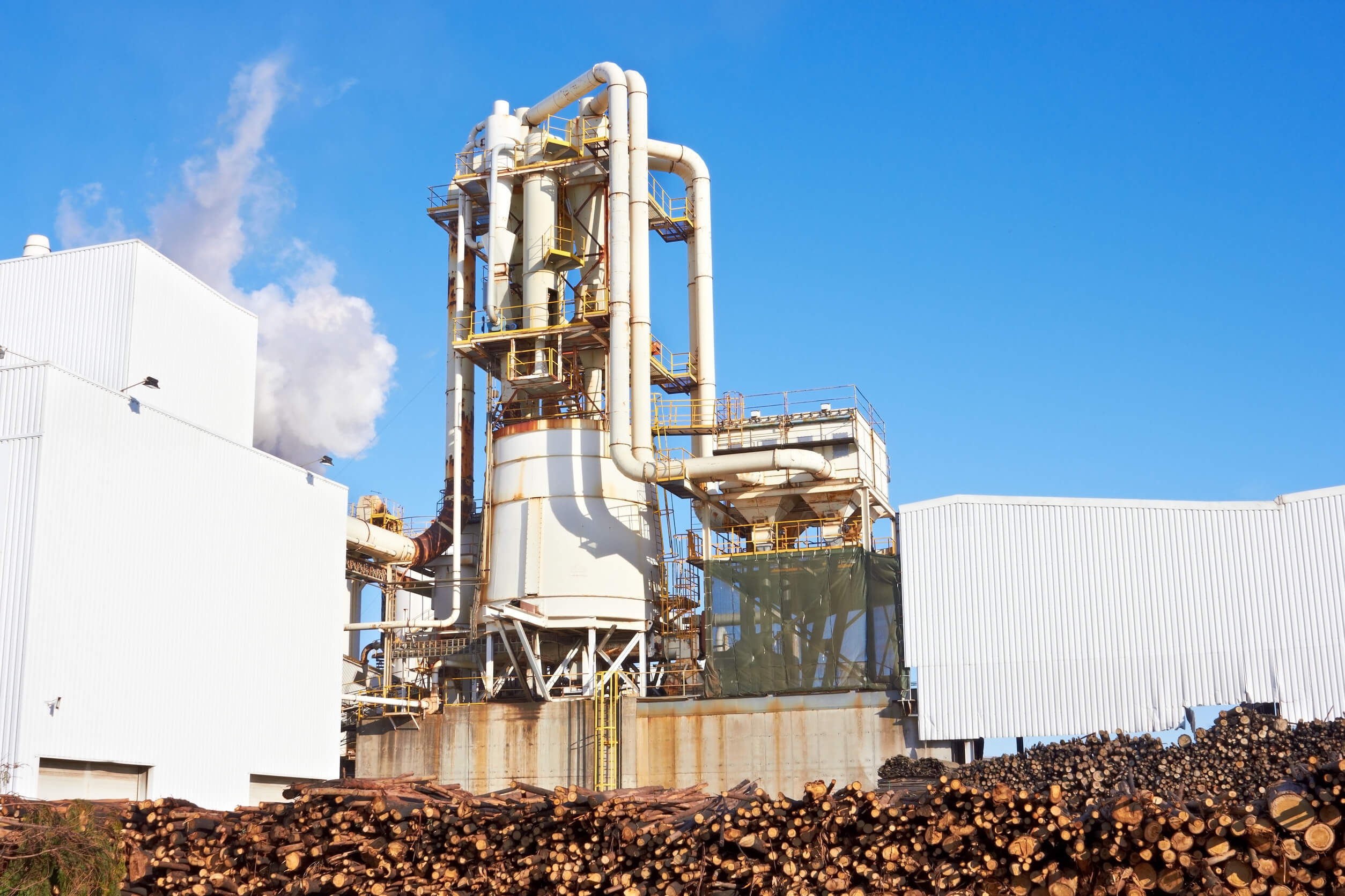 Pulp and Paper Industry