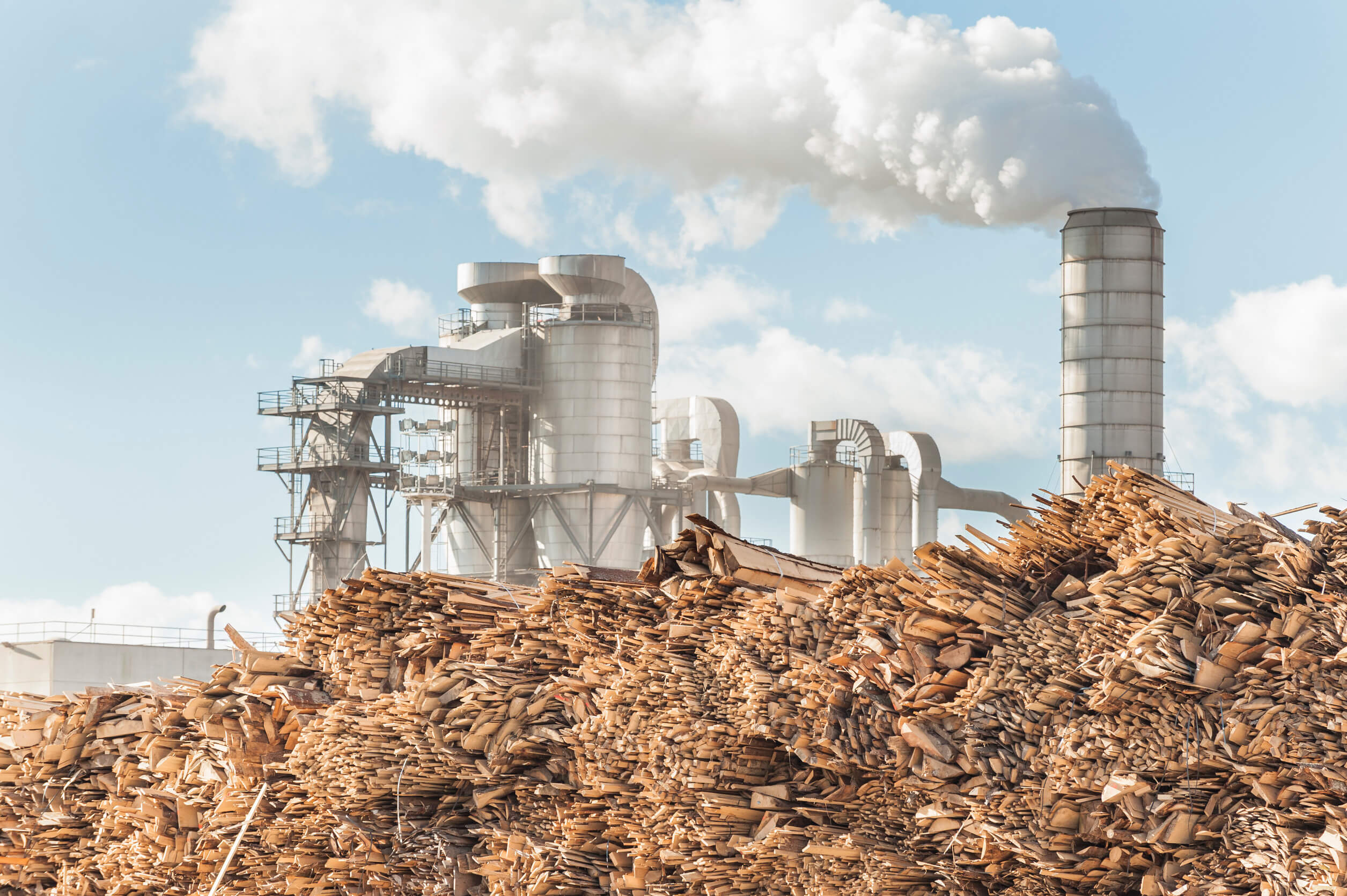 Pulp and Paper Industry